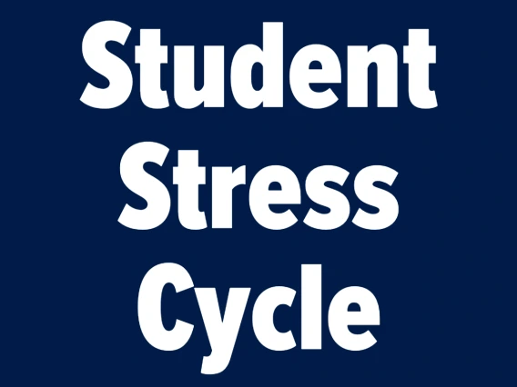 Student Stress Cycle