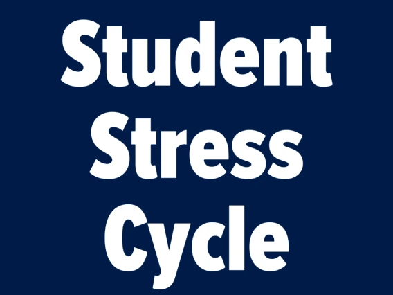 Student Stress Cycle